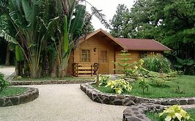 Le Domaine de L\u2019Arbre Du Voyageur